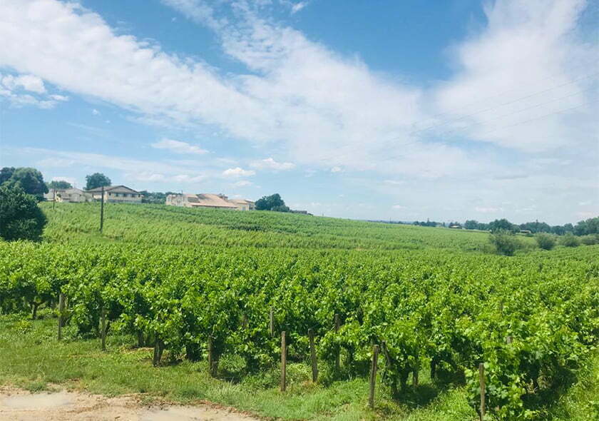Saint Emilion Wine route 