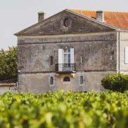 free tour saint emilion merece la pena