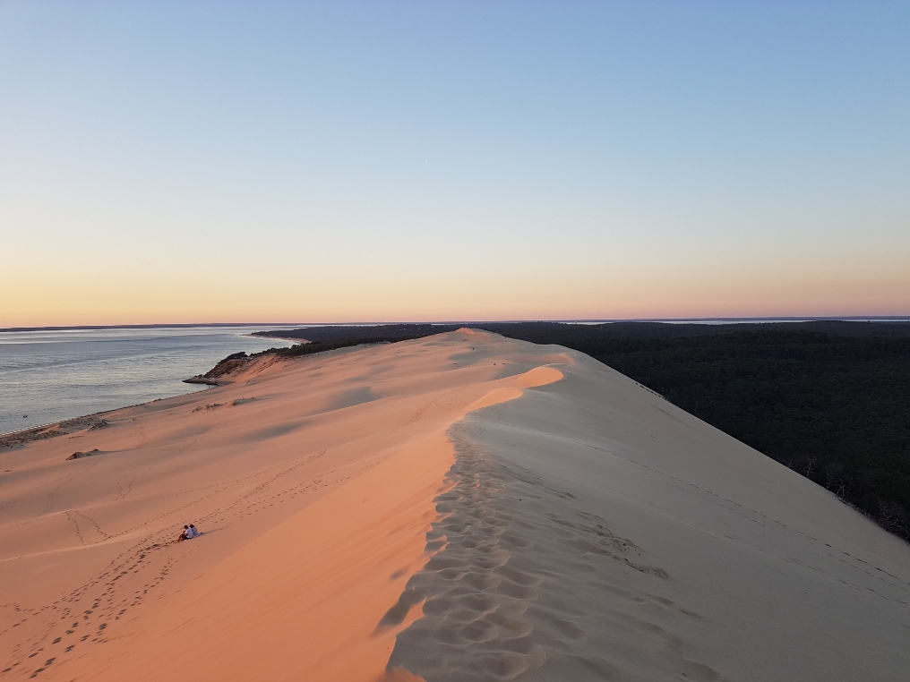 pilat-dune