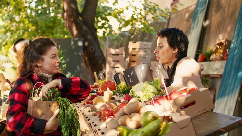 marché bio des Quais de Bordeaux