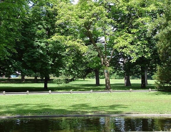 Parc Bordelais: naturaleza y tranquilidad en el corazón de Burdeos