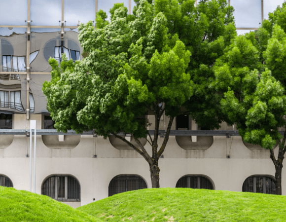 Parks in Bordeaux: 10 Hidden Gardens You Didn’t Know About