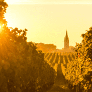 bordeaux-in-summer