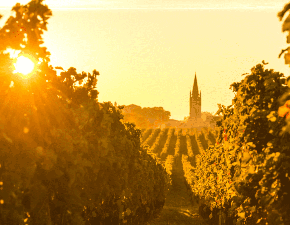 Bordeaux in Summer: 10 Amazing Things to Do Under the Sun