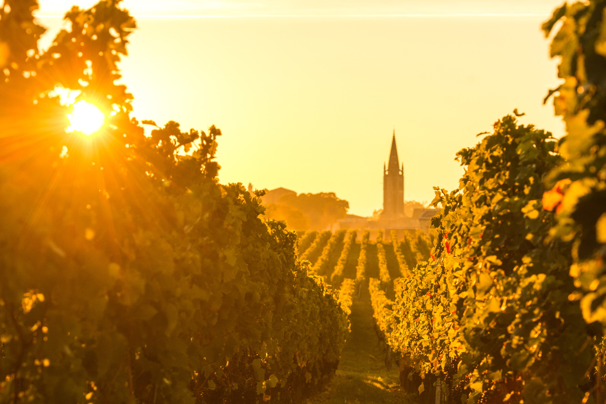 bordeaux-in-summer