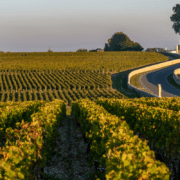 bordeaux-wine-trails