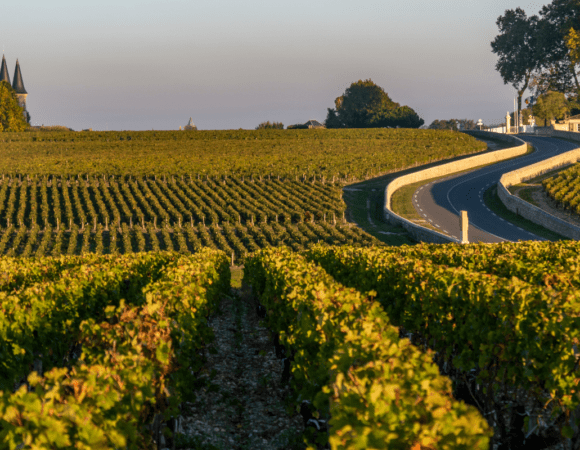 Bordeaux Wine Trails: 10 Routes Every Wine Lover Must Explore