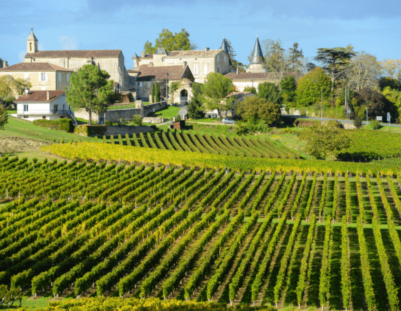 Vineyards Near Bordeaux: 8 Hidden Gems Off the Beaten Path