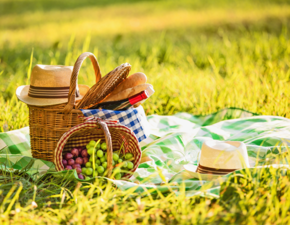 Bordeaux Picnic Spots: 10 Scenic Parks and Gardens to Relax